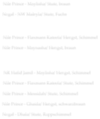 Nile Prince - Maylisha/ Stute, braun Nogal - NW Maleyla/ Stute, Fuchs Nile Prince - Flaxmans Kateefa/ Hengst, Schimmel Nile Prince - Maynasha/ Hengst, braun NK Hafid Jamil - Maylisha/ Hengst, Schimmel Nile Prince - Flaxmans Kateefa/ Stute, Schimmel Nile Prince - Messidah/ Stute, Schimmel Nile Prince - Ghaida/ Hengst, schwarzbraun Nogal - Dhala/ Stute, Rappschimmel