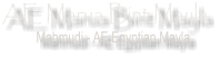 AE Marua Bint Mayla      Mahmudi - AE Egyptian Mayla