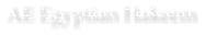 AE Egyptian Hakeem