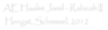 AE Haalim Jamil - Rabeah II   Hengst, Schimmel, 2012