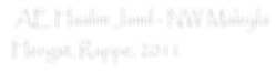 AE Haalim Jamil - NW Maleyla  Hengst, Rappe, 2011